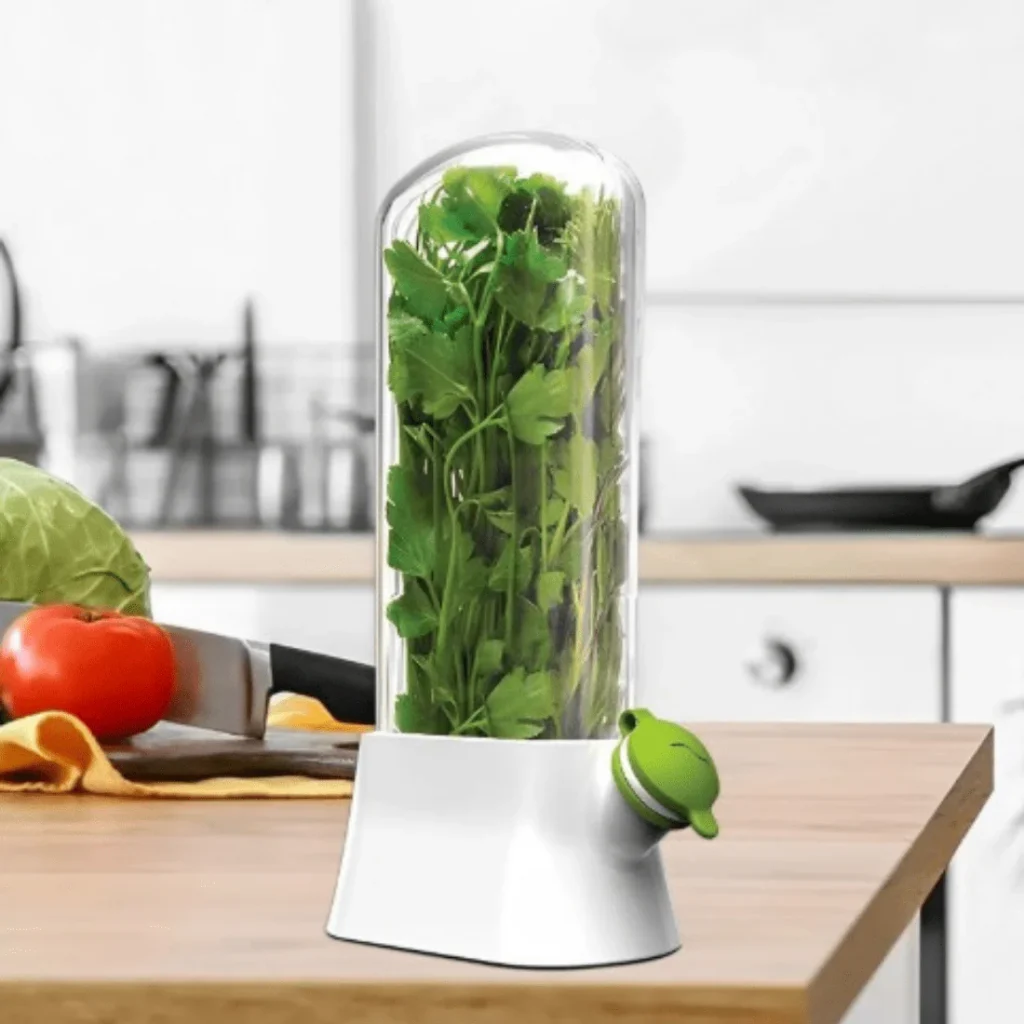 Airtight Transparent Herb Storage Box with Water Reservoir for Fresh Food Storage