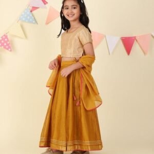 Mustard Cotton Silk Blend Hand Woven Lehenga Set